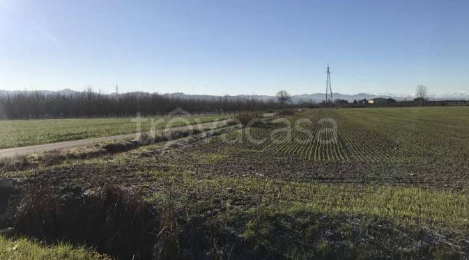 immagine annuncio 4 di 8