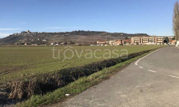 immagine annuncio 5 di 8