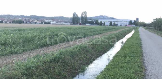 immagine annuncio 6 di 8