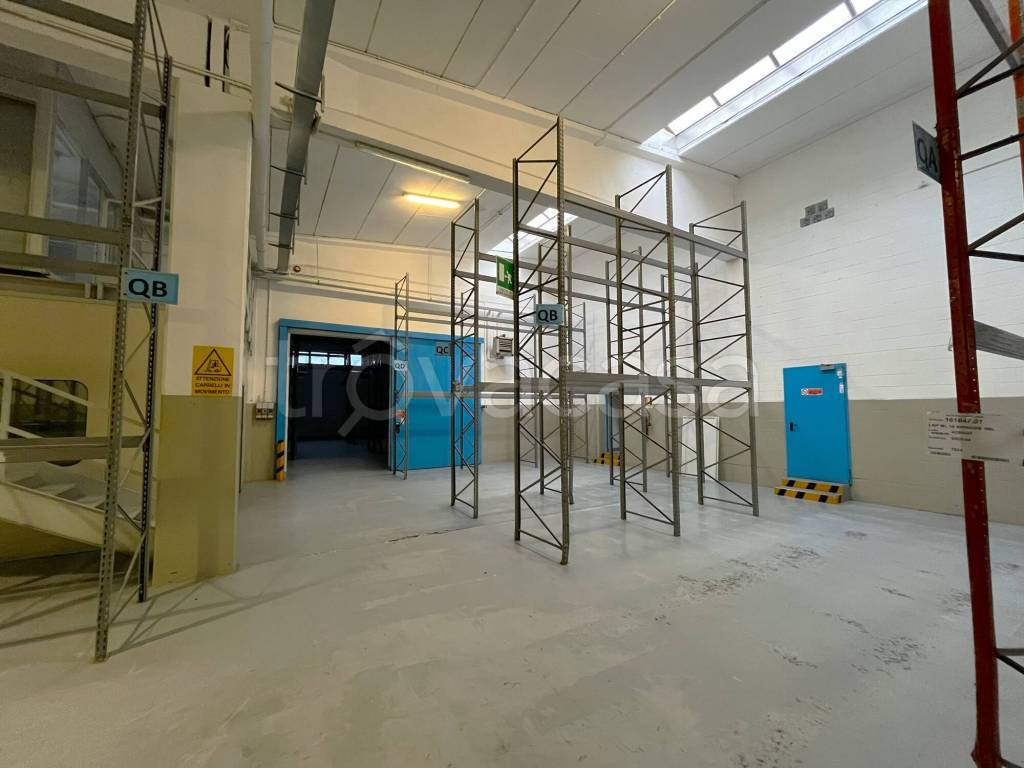 immagine annuncio 1 di 14