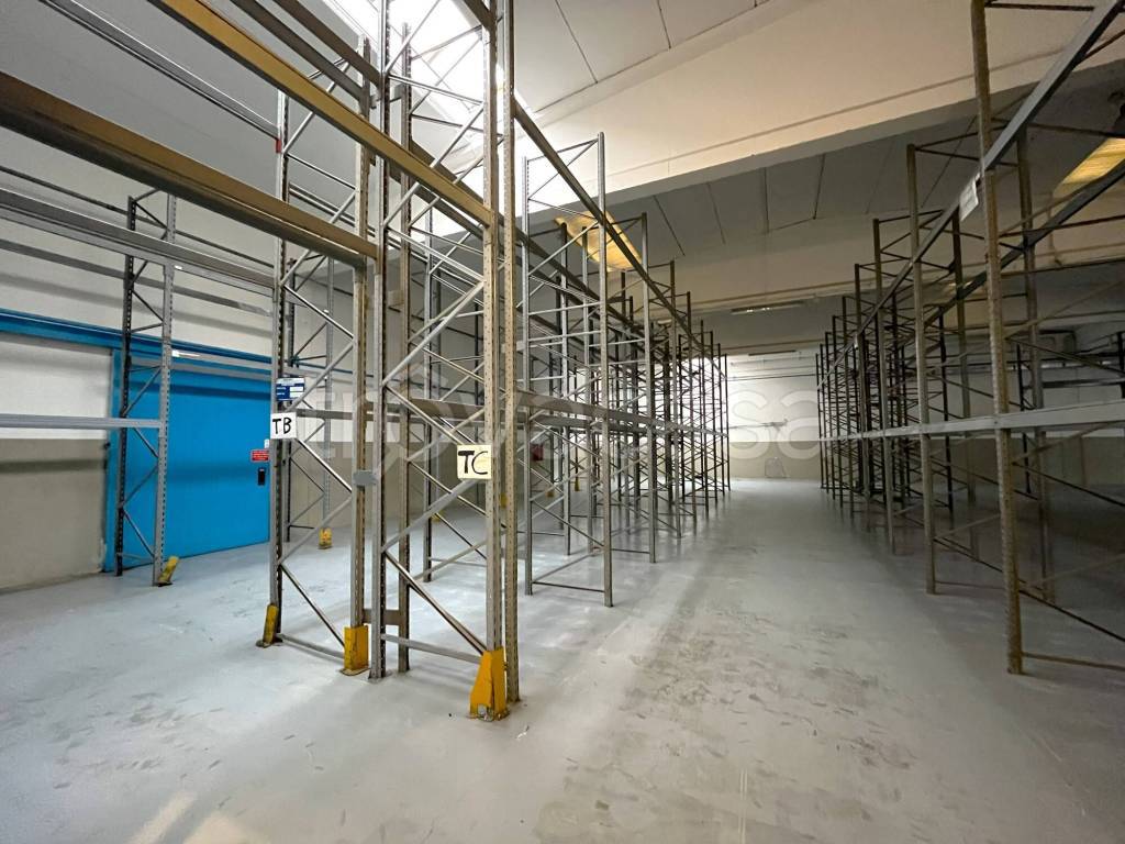 immagine annuncio 2 di 14