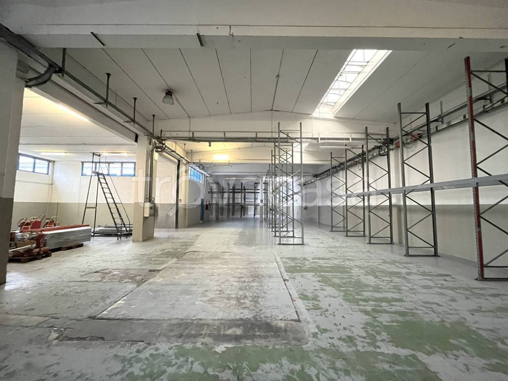 immagine annuncio 4 di 14