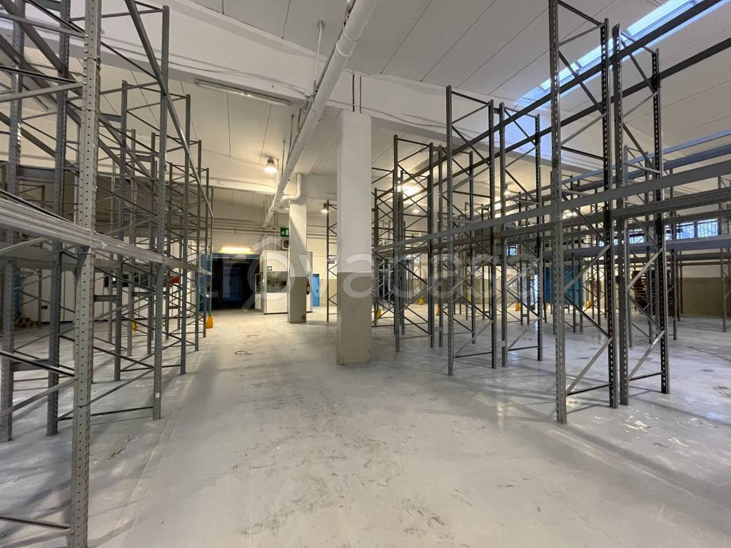 immagine annuncio 3 di 14