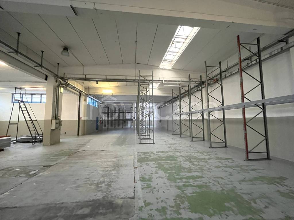 immagine annuncio 5 di 14