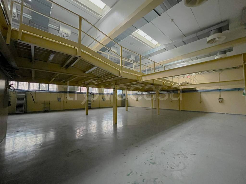 immagine annuncio 7 di 14