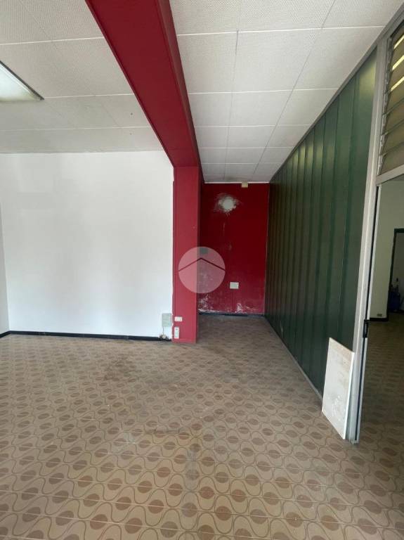 immagine annuncio 7 di 13