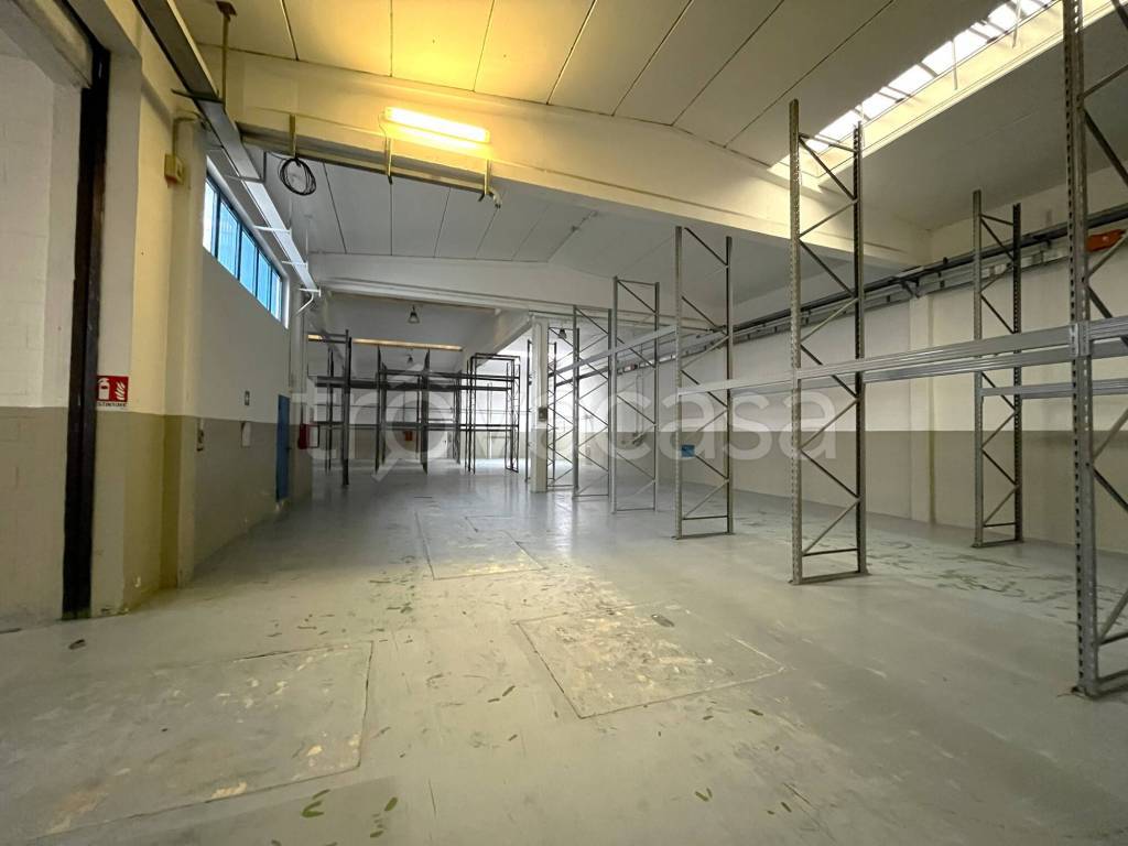 immagine annuncio 9 di 14