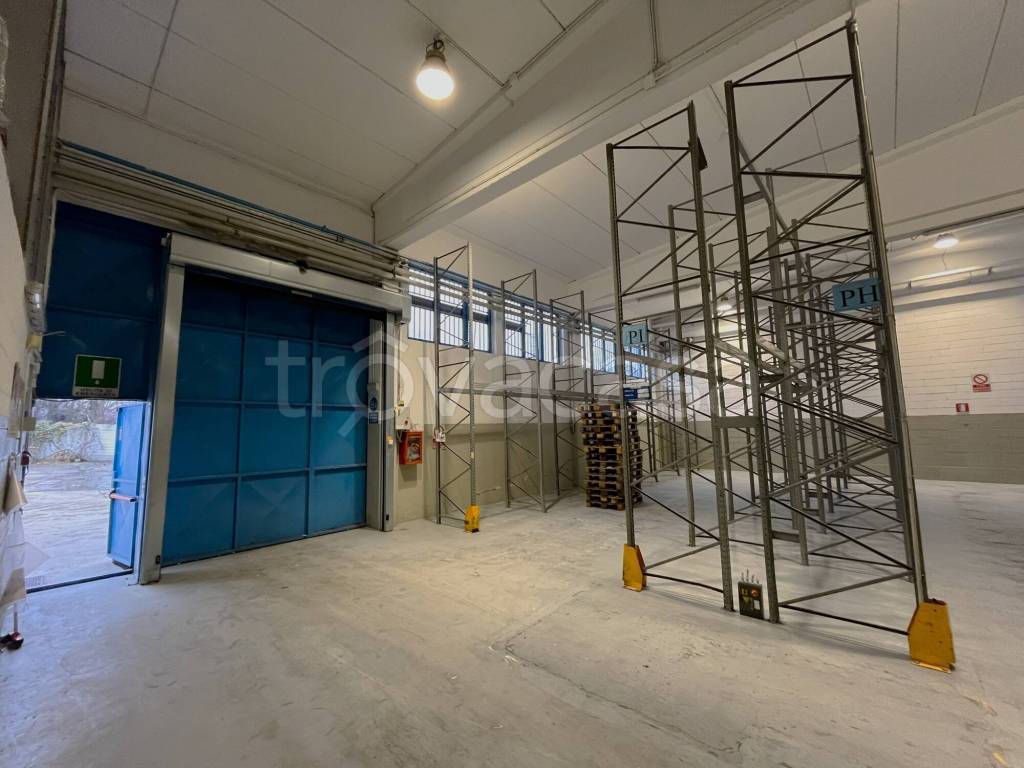 immagine annuncio 12 di 14