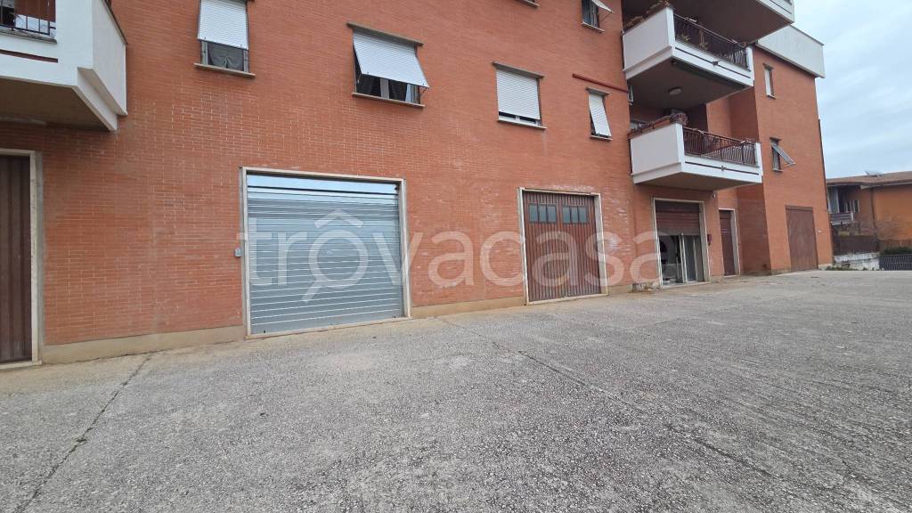 immagine annuncio 3 di 6