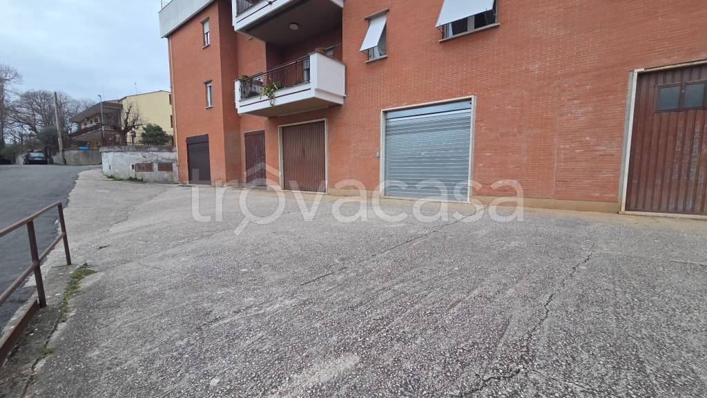 immagine annuncio 4 di 6