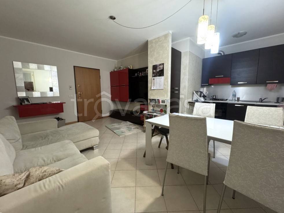 immagine annuncio 2 di 11