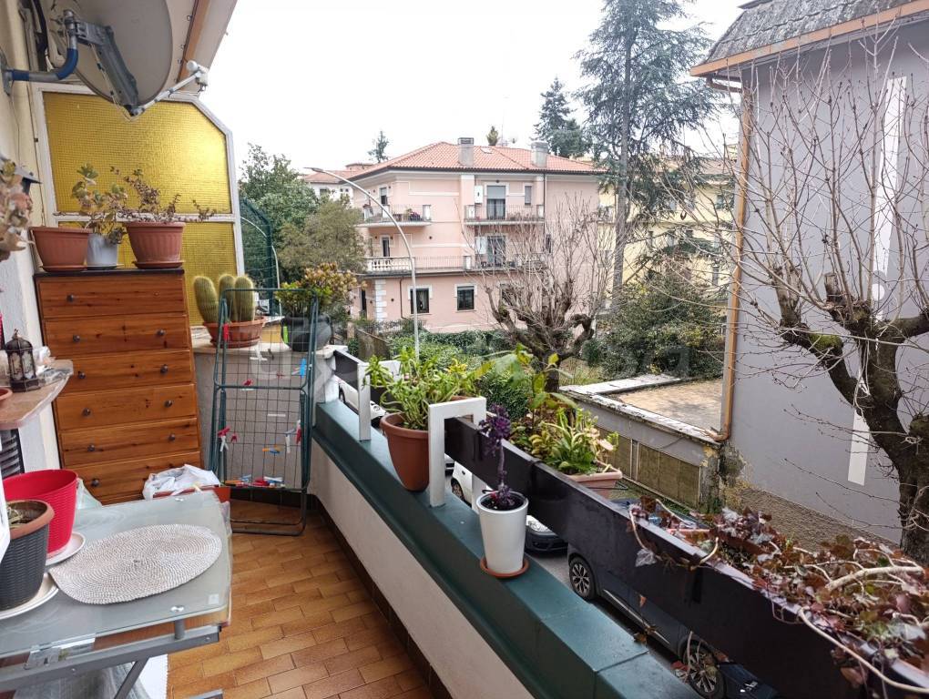 immagine annuncio 6 di 12