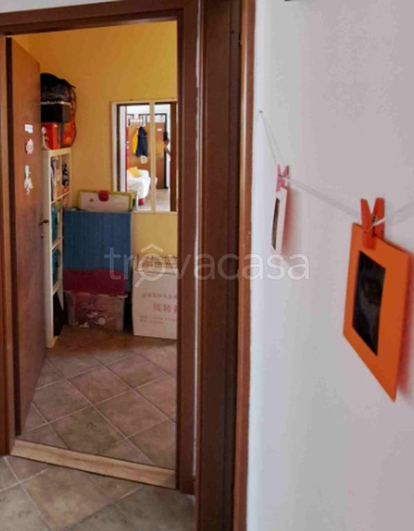 immagine annuncio 9 di 11