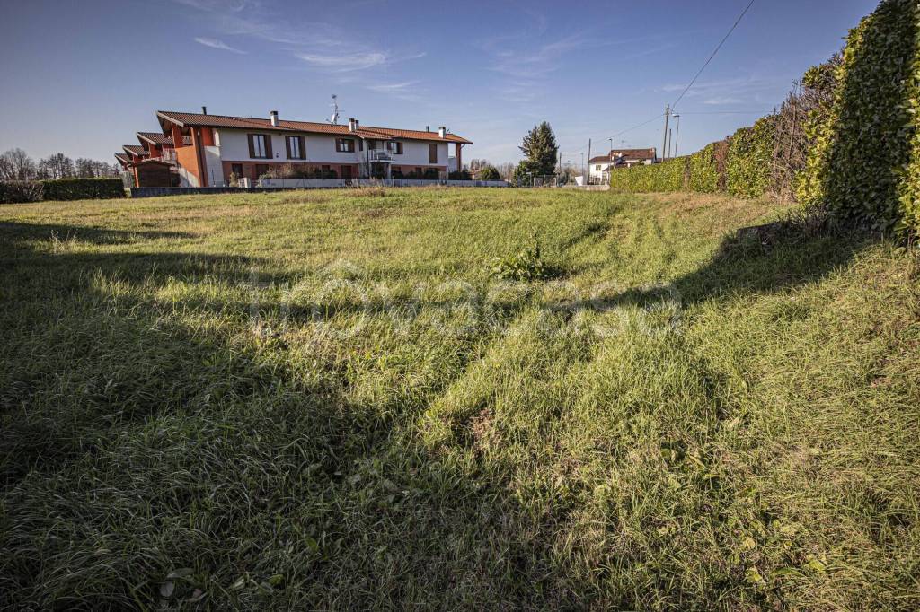 immagine annuncio 2 di 4