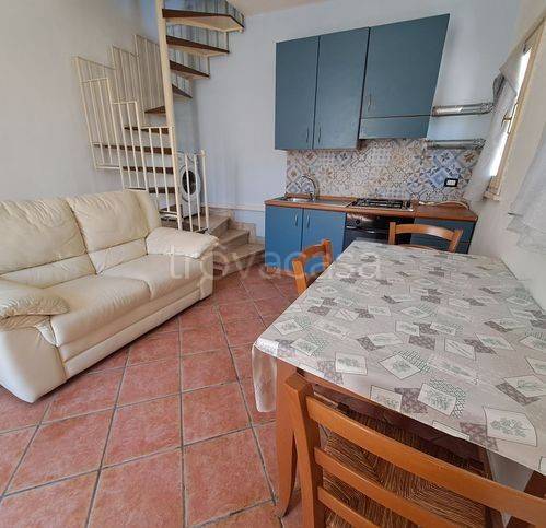 immagine annuncio 6 di 14