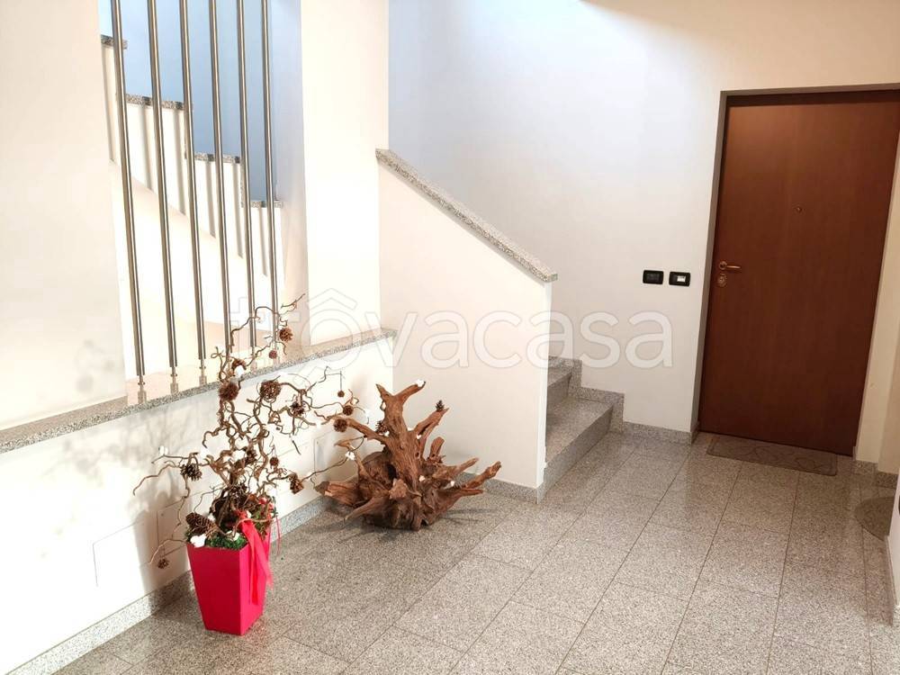 immagine annuncio 5 di 14