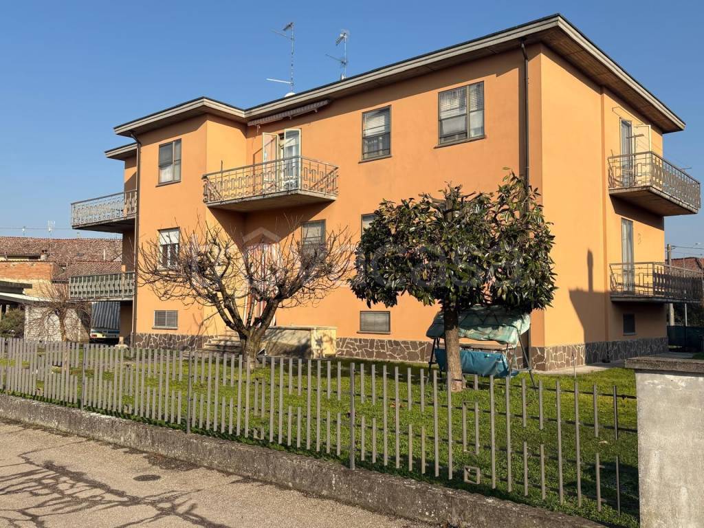 immagine annuncio 2 di 15