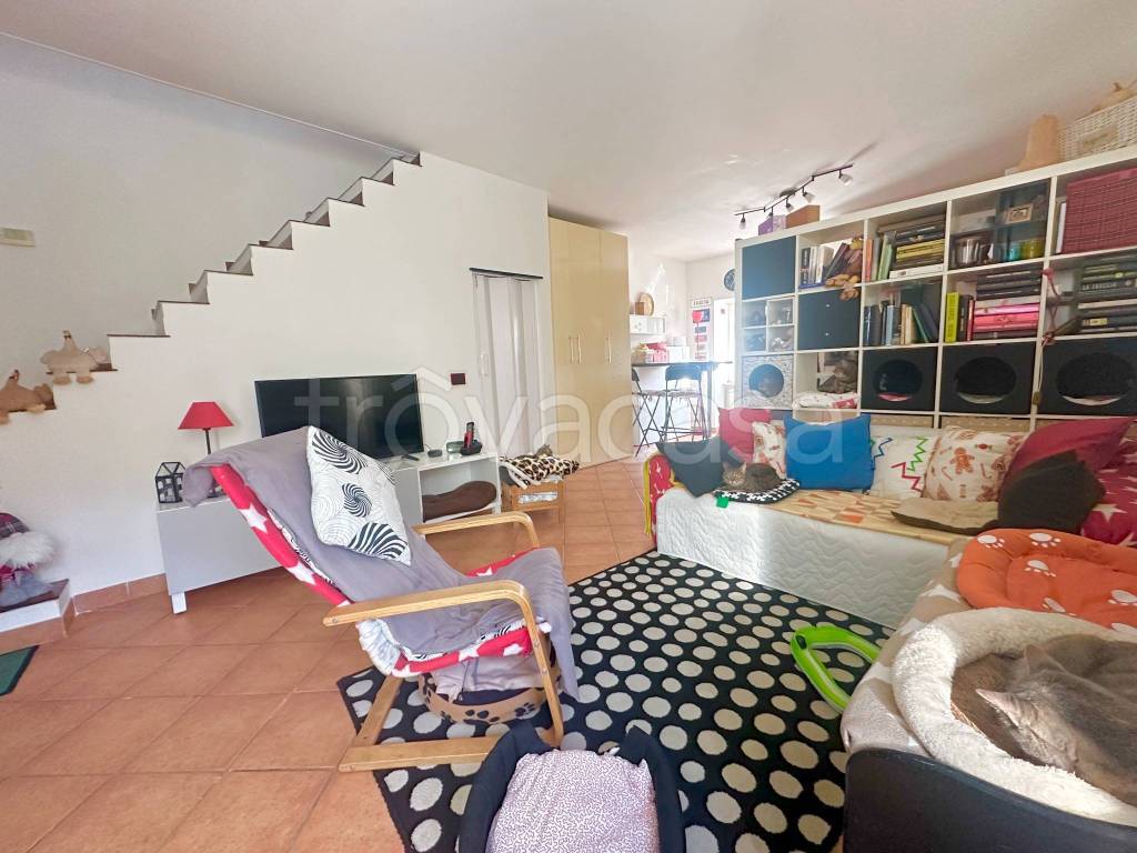 immagine annuncio 10 di 15