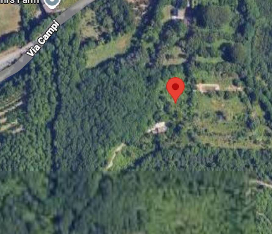 immagine annuncio 4 di 12