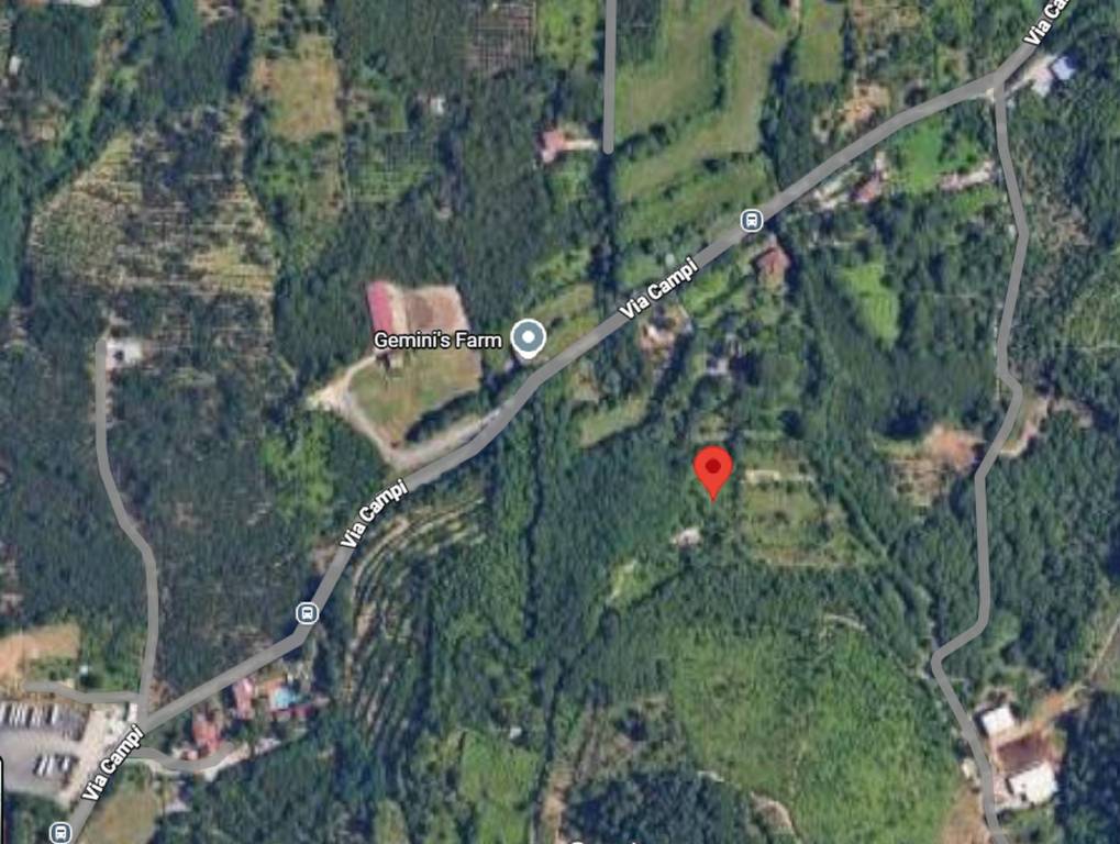 immagine annuncio 5 di 12