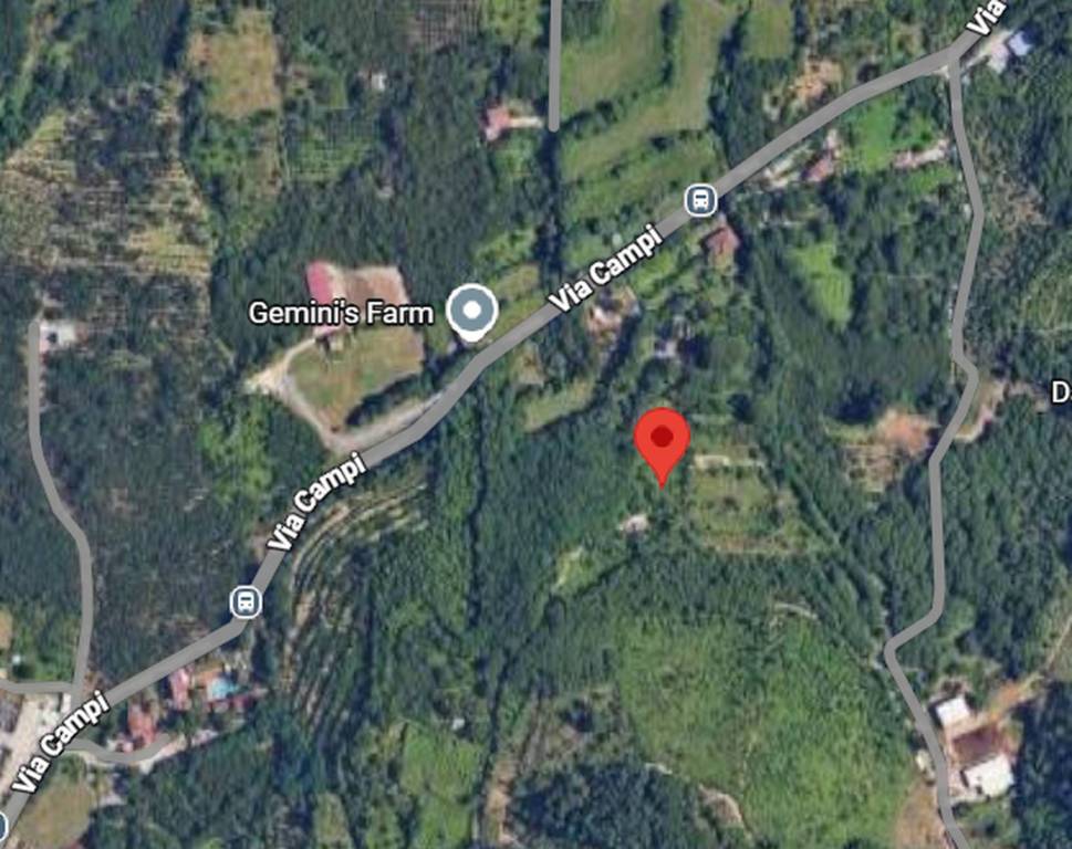 immagine annuncio 6 di 12