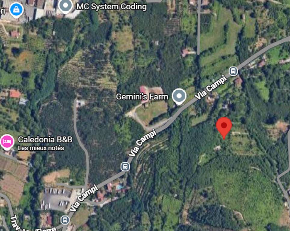 immagine annuncio 7 di 12