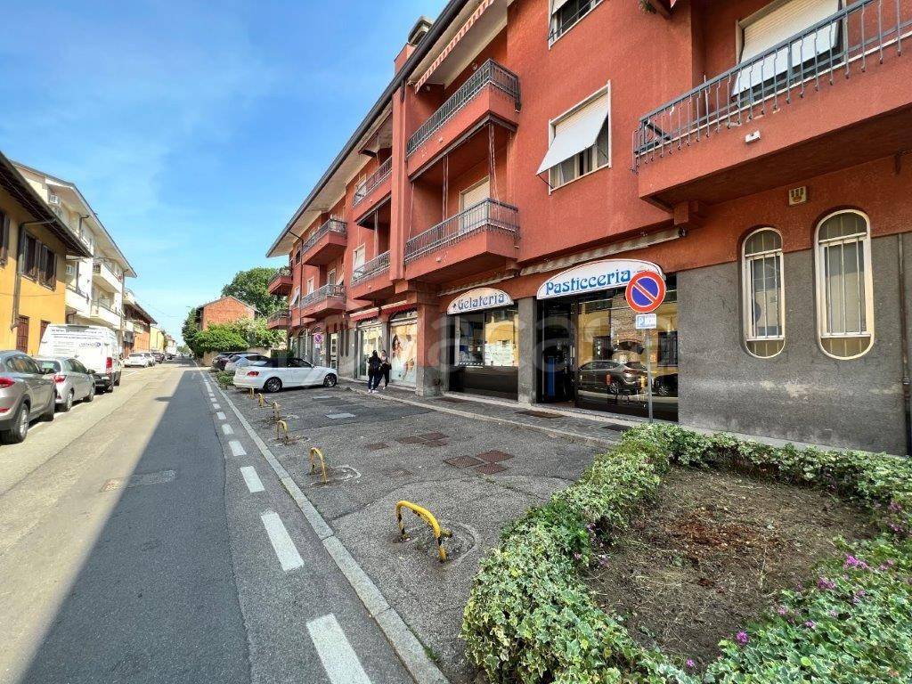 immagine annuncio 6 di 15