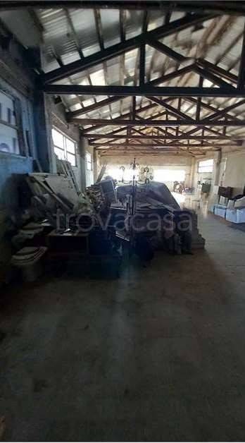 immagine annuncio 6 di 12