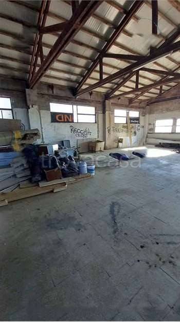 immagine annuncio 7 di 12