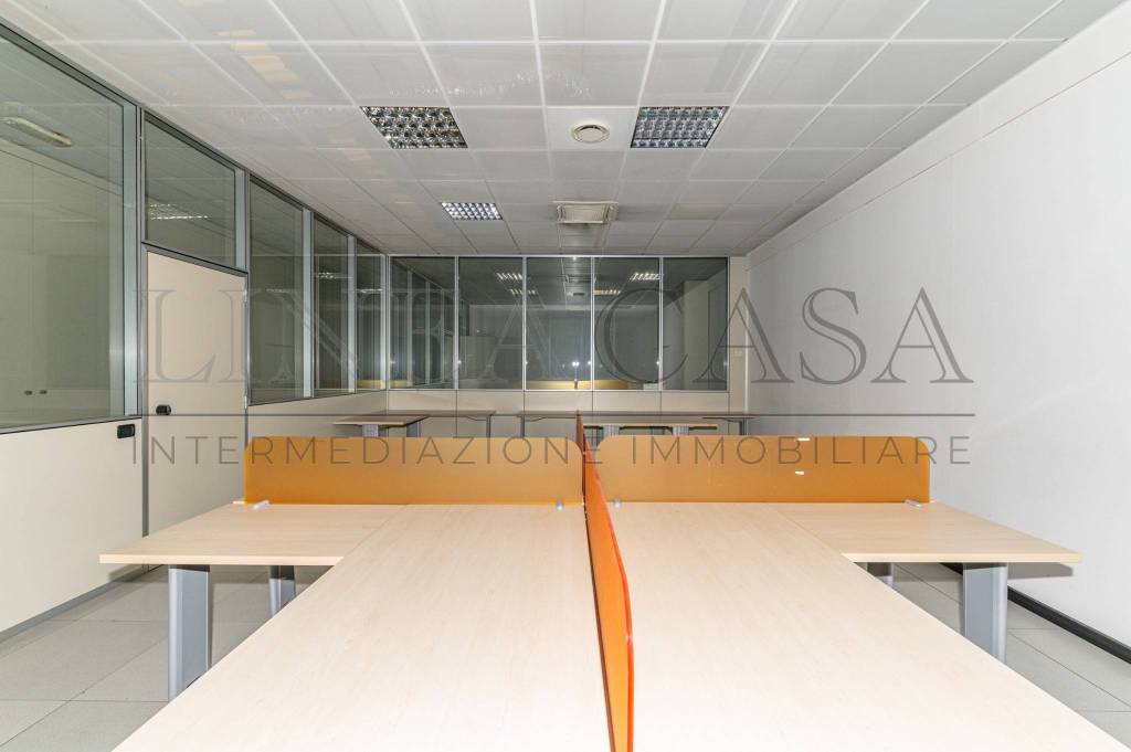 immagine annuncio 6 di 12