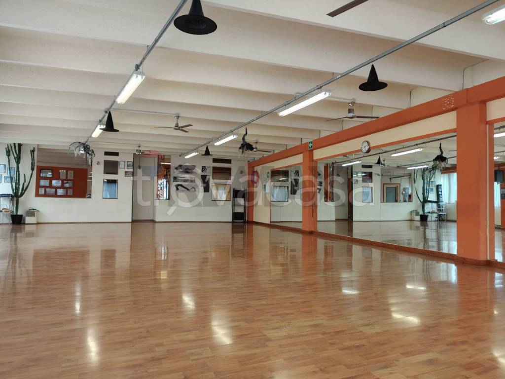 immagine annuncio 1 di 9