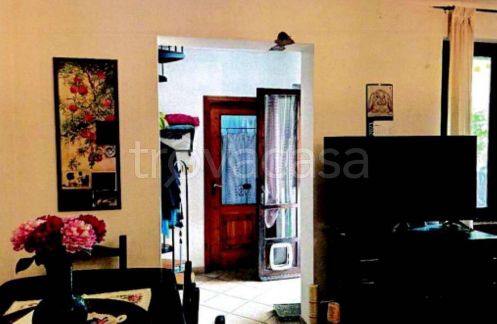 immagine annuncio 9 di 11