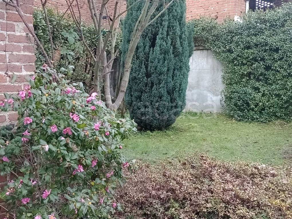 immagine annuncio 5 di 7