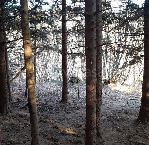 immagine annuncio 4 di 7