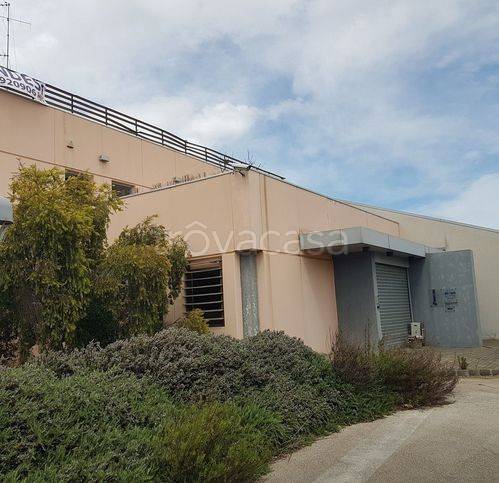 immagine annuncio 1 di 7