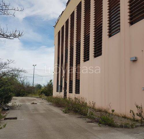 immagine annuncio 2 di 7