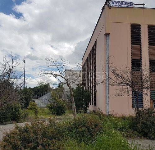 immagine annuncio 5 di 7