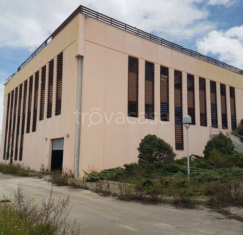 immagine annuncio 6 di 7