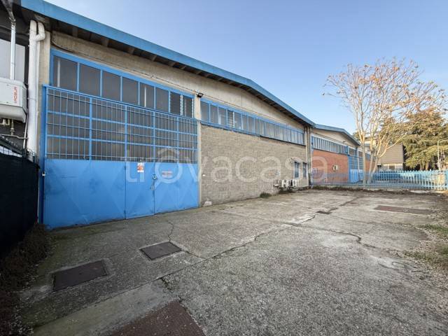 immagine annuncio 2 di 3