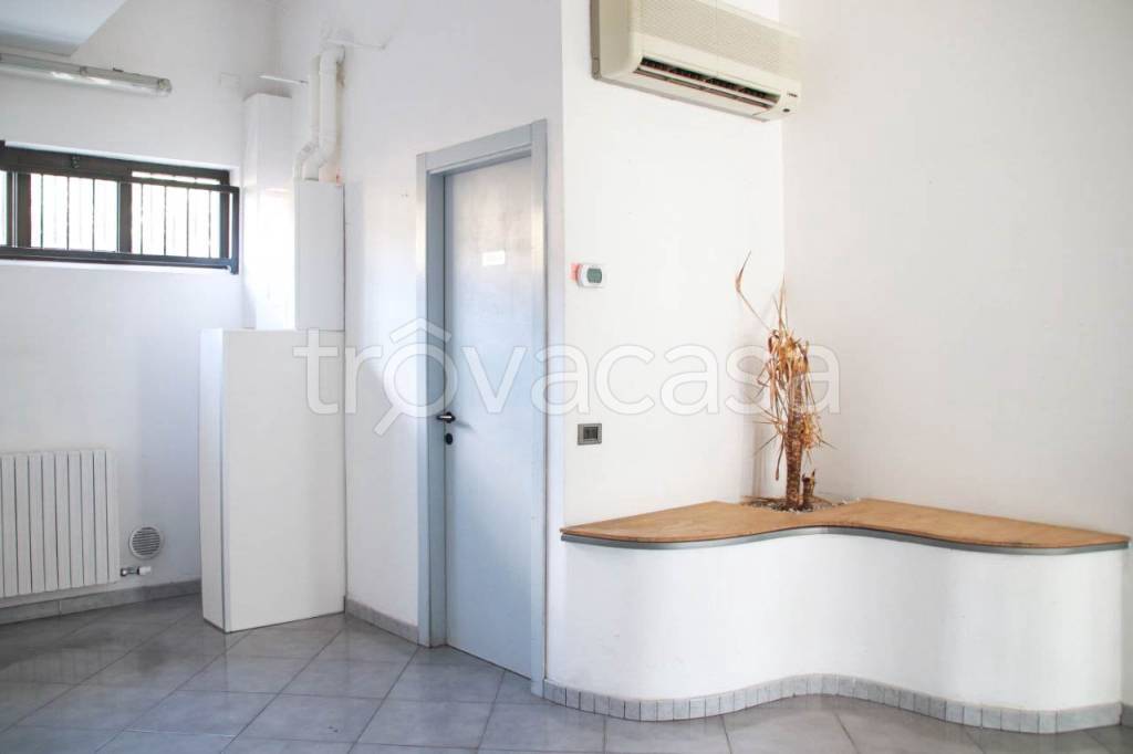 immagine annuncio 9 di 13