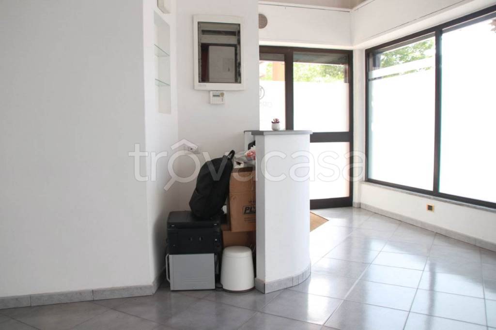 immagine annuncio 10 di 13