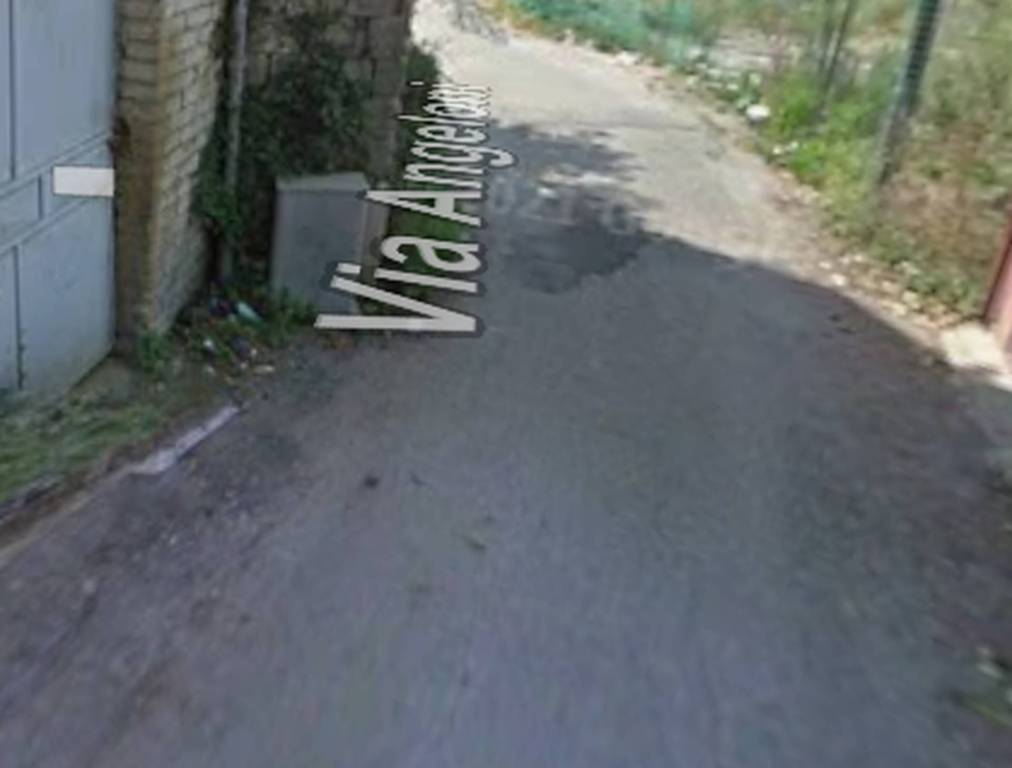 immagine annuncio 1 di 11
