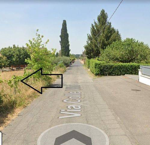 immagine annuncio 4 di 7