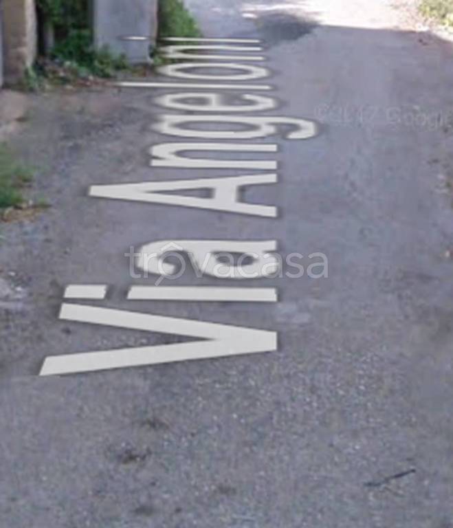 immagine annuncio 6 di 8