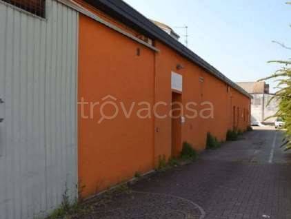 immagine annuncio 4 di 11