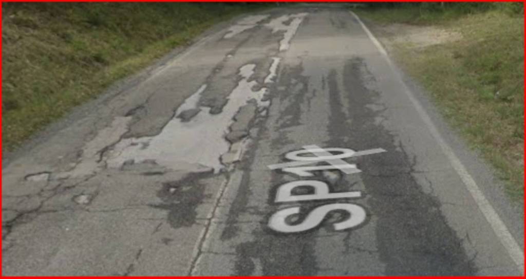 immagine annuncio 6 di 12