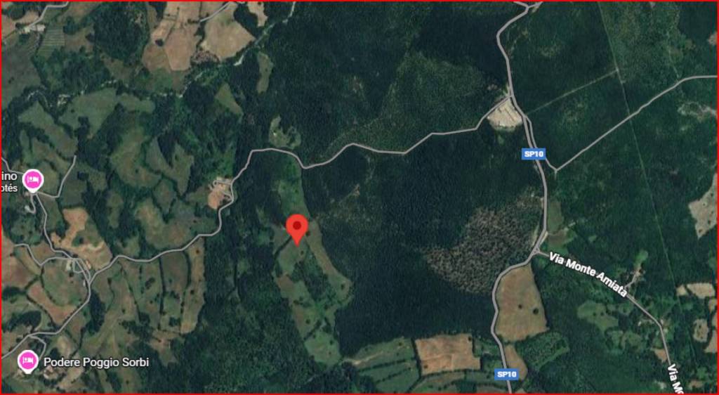 immagine annuncio 11 di 12