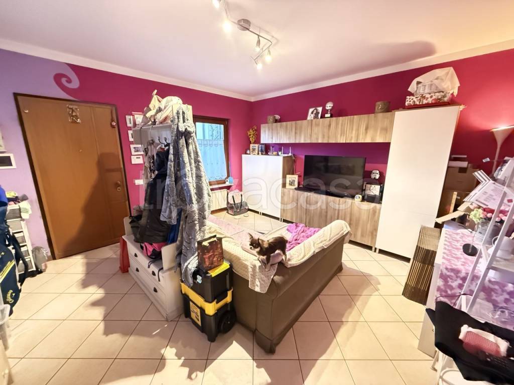 immagine annuncio 6 di 14