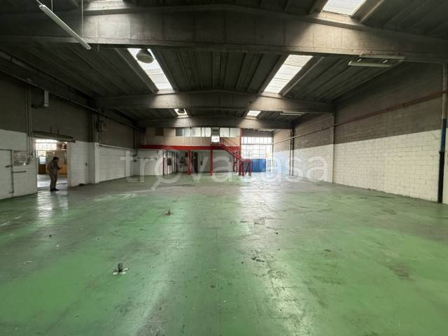 immagine annuncio 1 di 8