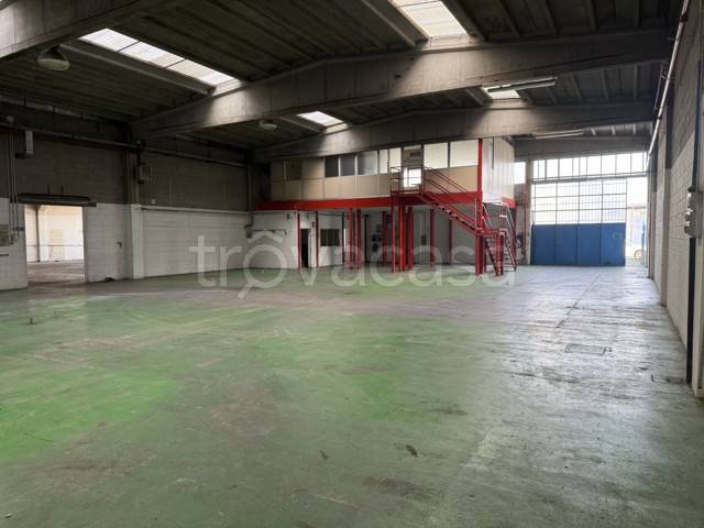 immagine annuncio 3 di 8